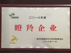 武汉尊龙凯时就是博官方光电入选光谷2016年“瞪羚企业”